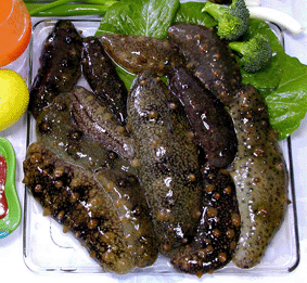 해삼(1)